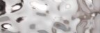 Sea Silver